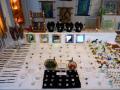 expo bijoux