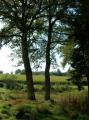 la nature nous inspirent
