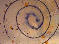 Spirale